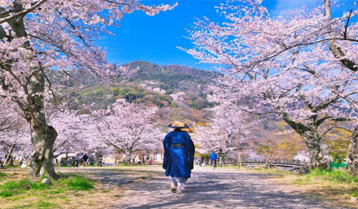 日本2.jpg