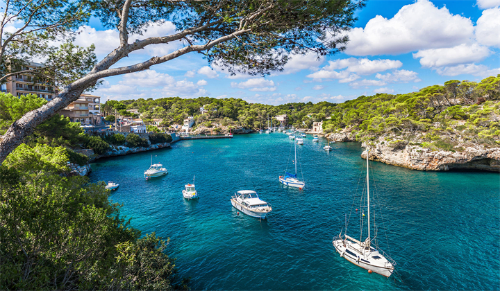 1662714776324165.jpg R-C.jpg