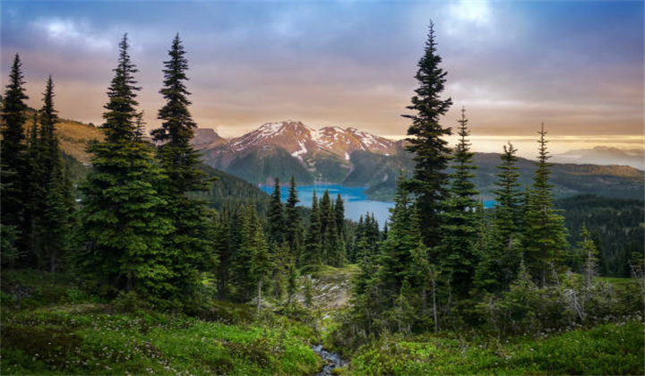 glacial-mountain-garibaldi-lake-with-turquoise-water-in-the-middle-of-coniferous-forest-at.jpg